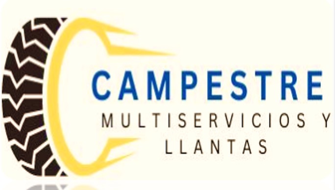 Logo Multiservicios